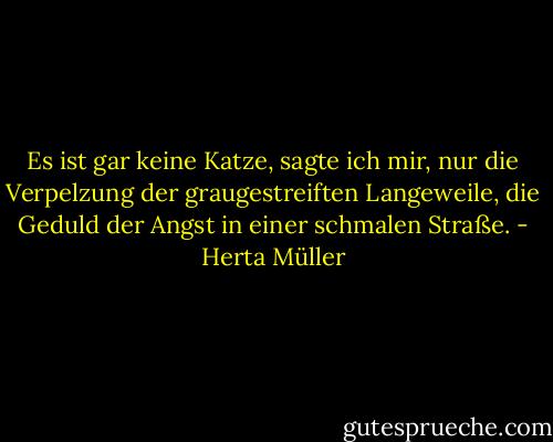 Es ist gar keine Katze, sagte ich mir, nur die Verpelzung der graugestreiften Langeweile, die Geduld der Angst in einer schmalen Straße. - Herta Müller