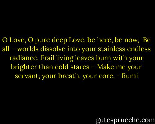 O Love, O pure deep Love, be here, be now,<br /><br />Be all – worlds dissolve into your stainless endless radiance,<br />Frail living leaves burn with your brighter than cold stares – Make me your servant, your breath, your core. - Rumi