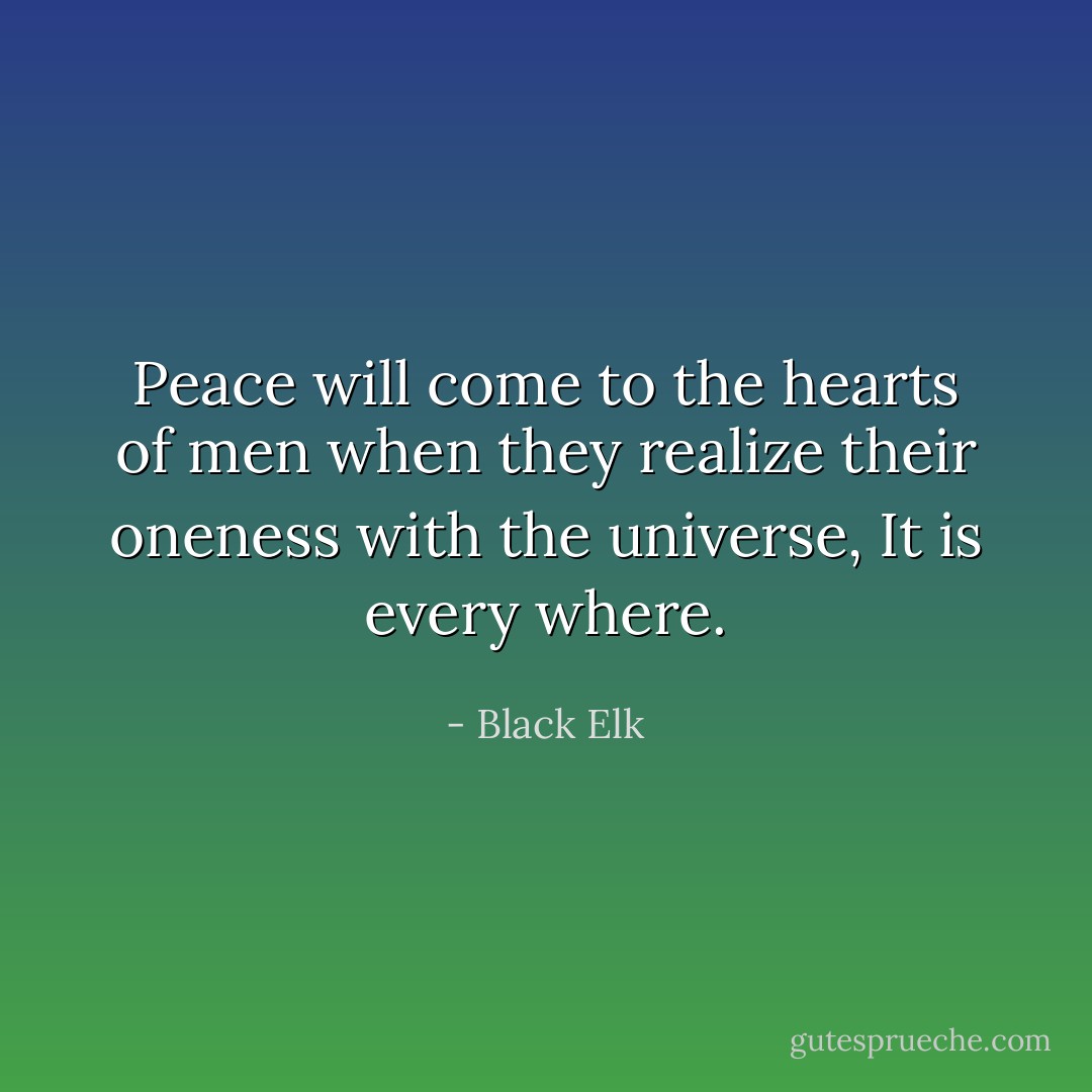 Peace will come to the hearts of men when they realize their oneness with the universe, It is every where. - Black Elk
