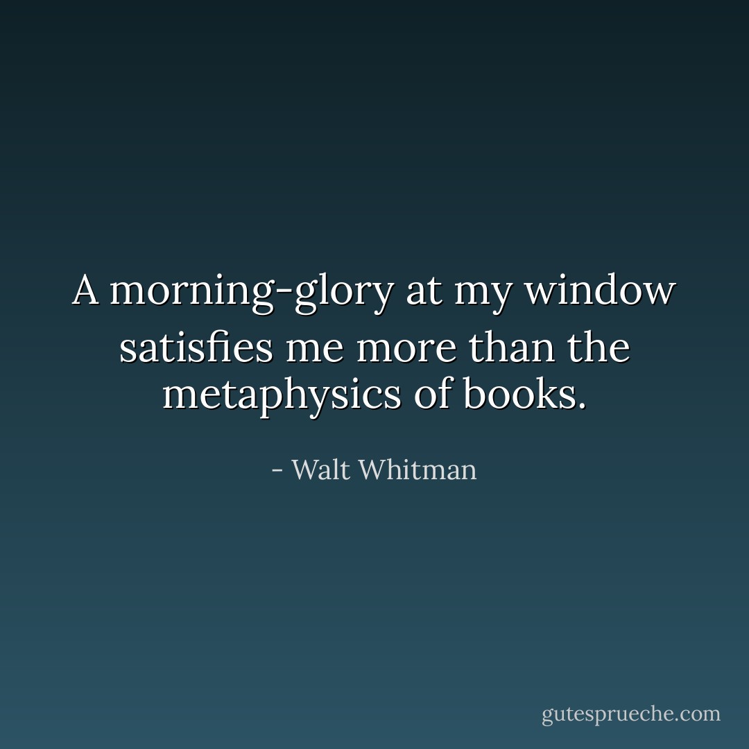 A morning-glory at my window satisfies me more than the metaphysics of books. - Walt Whitman