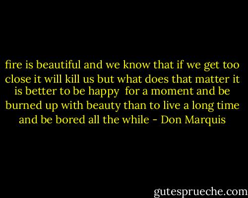 fire is beautiful<br />and we know that if we get<br />too close it will kill us<br />but what does that matter<br />it is better to be happy <br />for a moment<br />and be burned up with beauty<br />than to live a long time<br />and be bored all the while - Don Marquis