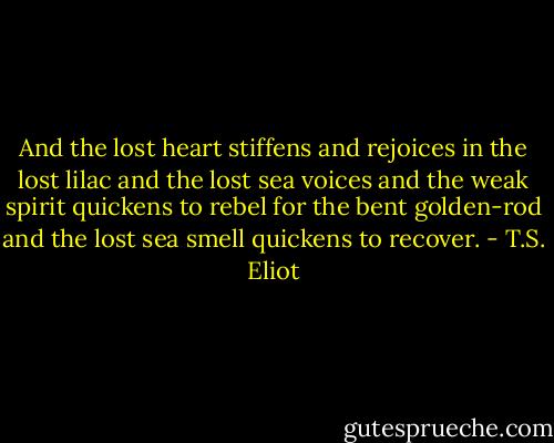 And the lost heart stiffens and rejoices in the lost lilac and the lost sea voices and the weak spirit quickens to rebel for the bent golden-rod and the lost sea smell quickens to recover. - T.S. Eliot