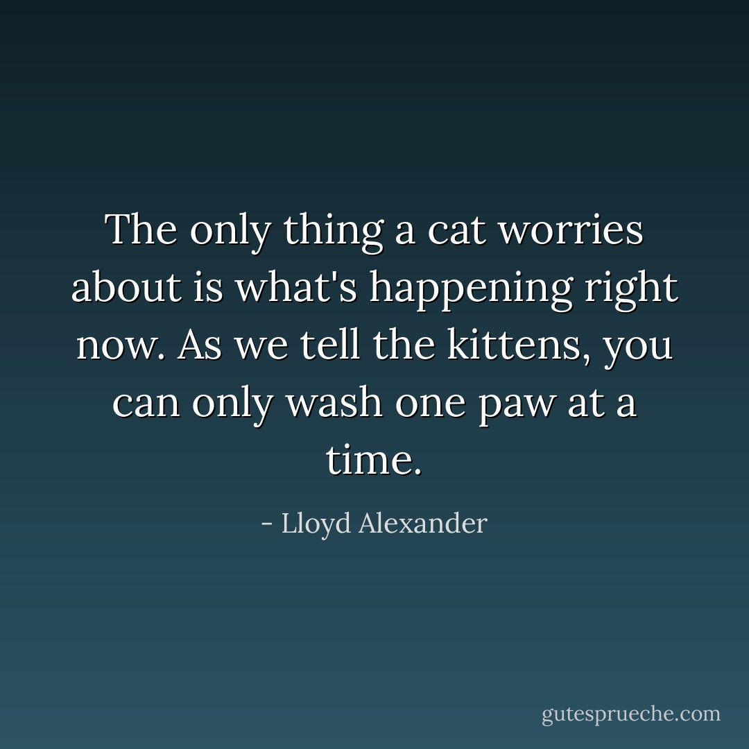 The only thing a cat worries about is what's happening right now. As we tell the kittens, you can only wash one paw at a time. - Lloyd Alexander