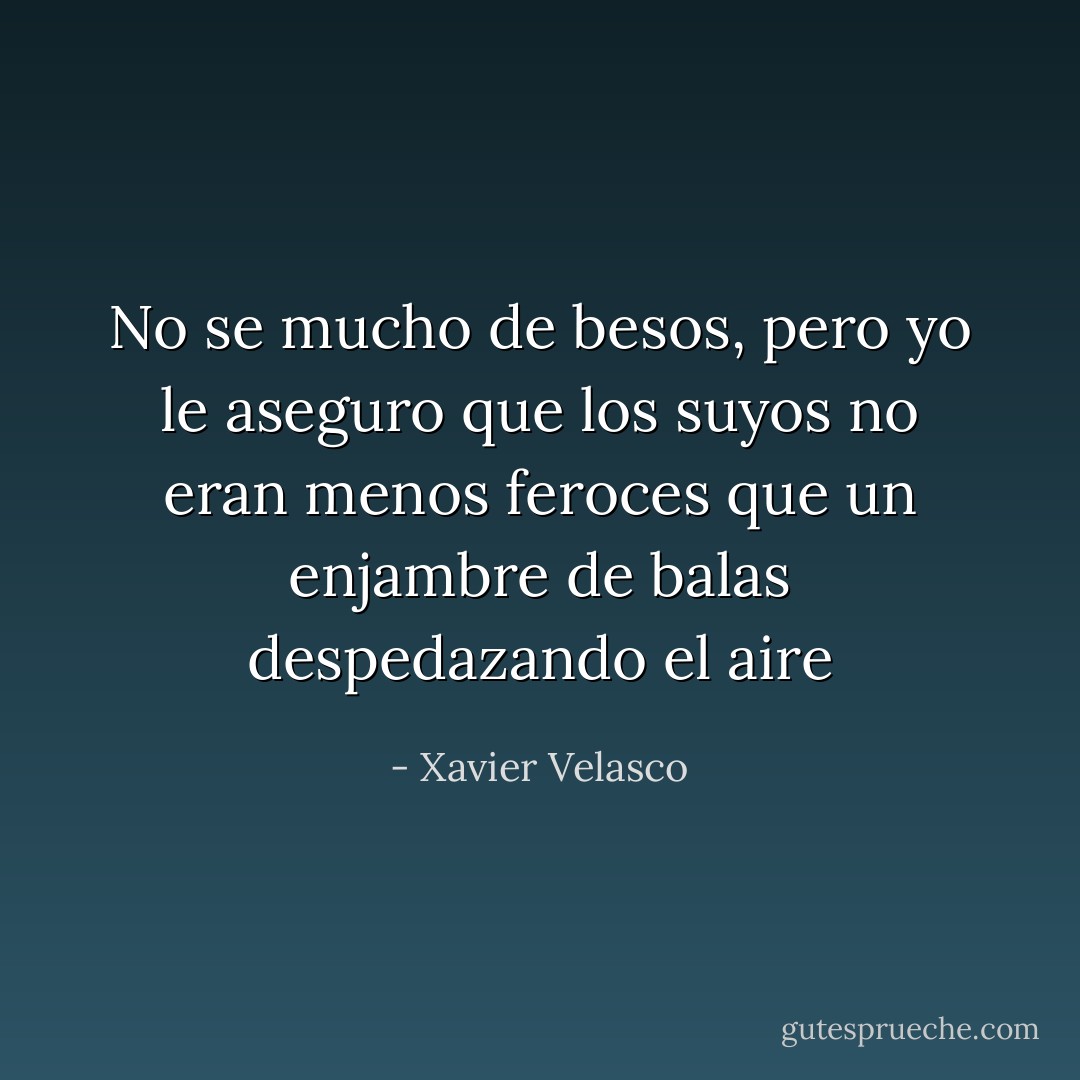 No se mucho de besos, pero yo le aseguro que los suyos no eran menos feroces que un enjambre de balas despedazando el aire - Xavier Velasco