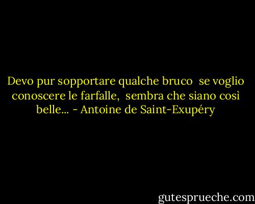 Devo pur sopportare qualche bruco <br />se voglio conoscere le farfalle, <br />sembra che siano così belle... - Antoine de Saint-Exupéry