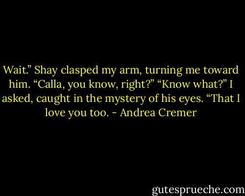 Wait.” Shay clasped my arm, turning me toward him. “Calla, you know, right?”<br />“Know what?” I asked, caught in the mystery of his eyes.<br />“That I love you too. - Andrea Cremer
