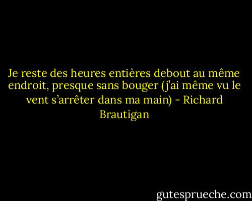 Je reste des heures entières debout au même endroit, presque sans bouger (j’ai même vu le vent s’arrêter dans ma main) - Richard Brautigan