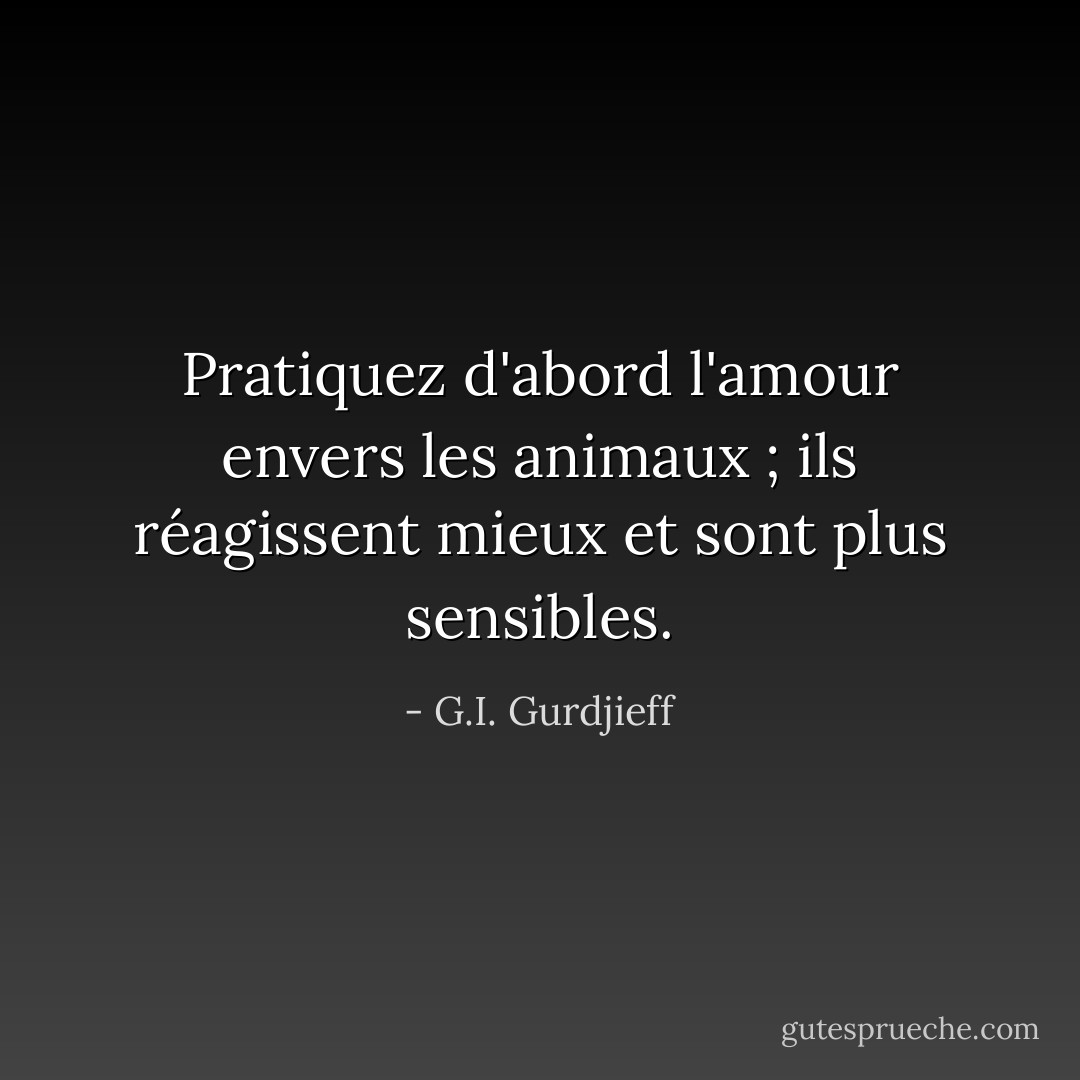 Pratiquez d'abord l'amour envers les animaux ; ils réagissent mieux et sont plus sensibles. - G.I. Gurdjieff