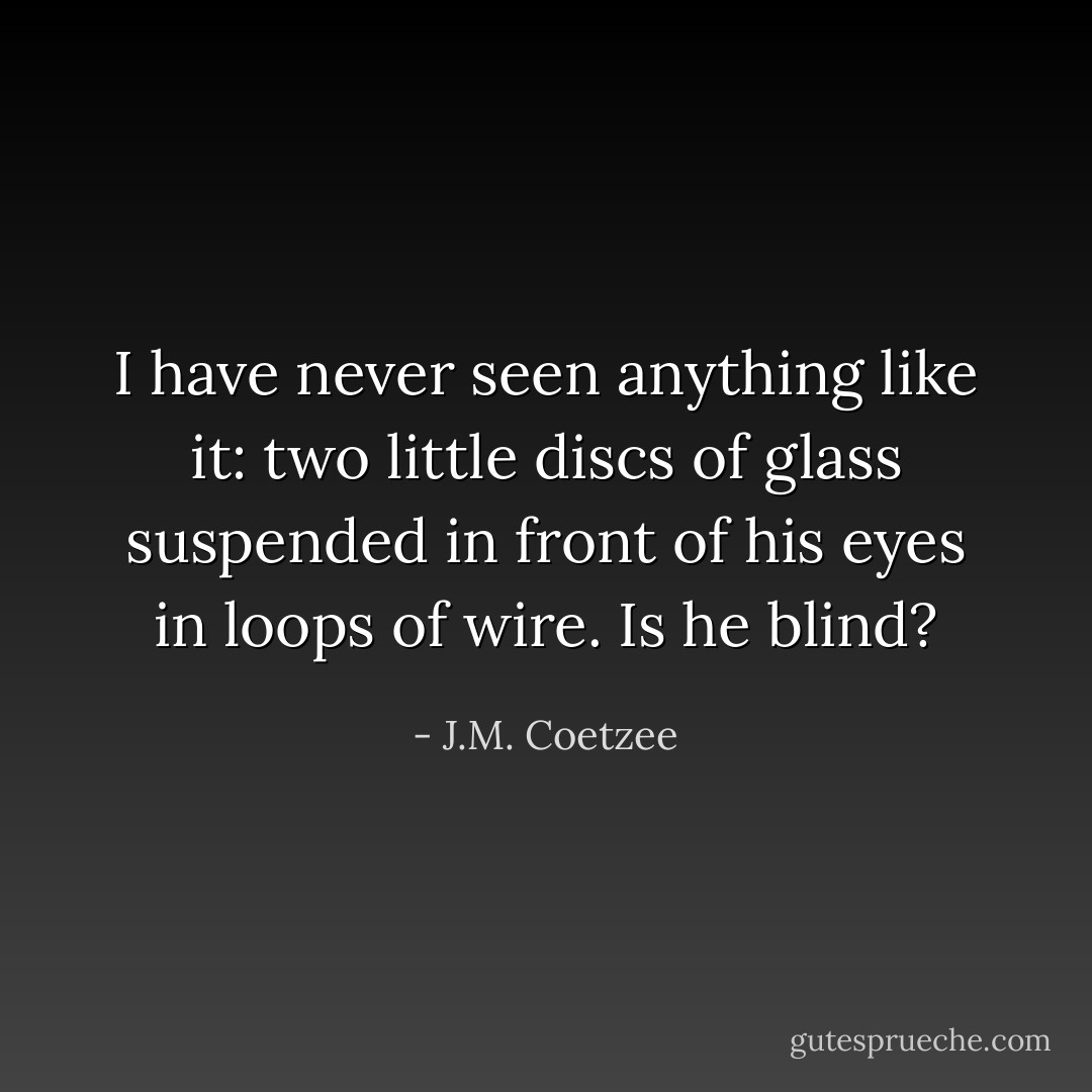 I have never seen anything like it: two little discs of glass suspended in front of his eyes in loops of wire. Is he blind? - J.M. Coetzee