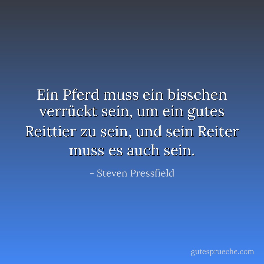Ein Pferd muss ein bisschen verrückt sein, um ein gutes Reittier zu sein, und sein Reiter muss es auch sein. - Steven Pressfield<