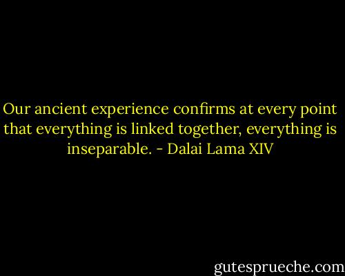 Our ancient experience confirms at every point that everything is linked together, everything is inseparable. - Dalai Lama XIV