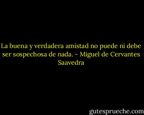 La buena y verdadera amistad no puede ni debe ser sospechosa de nada. - Miguel de Cervantes Saavedra