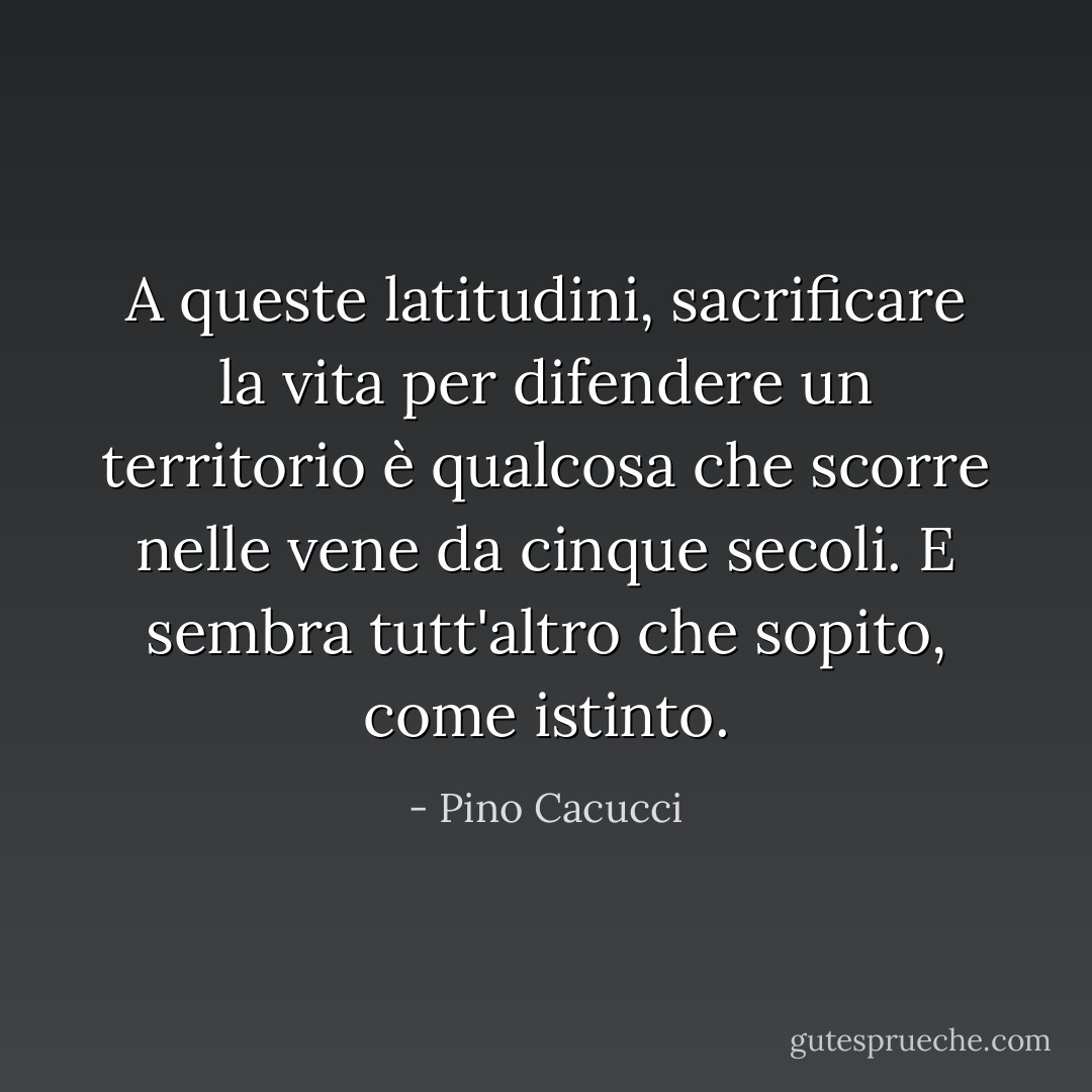 A queste latitudini, sacrificare la vita per difendere un territorio è qualcosa che scorre nelle vene da cinque secoli. E sembra tutt'altro che sopito, come istinto. - Pino Cacucci