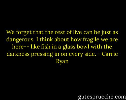 We forget that the rest of live can be just as dangerous. I think about how fragile we are here-- like fish in a glass bowl with the darkness pressing in on every side. - Carrie Ryan