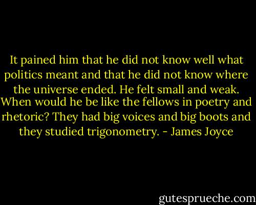 It pained him that he did not know well what politics meant and that he did not know where the universe ended. He felt small and weak. When would he be like the fellows in poetry and rhetoric? They had big voices and big boots and they studied trigonometry. - James Joyce