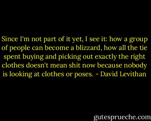 Since I'm not part of it yet, I see it: how a group of people can become a blizzard, how all the tie spent buying and picking out exactly the right clothes doesn't mean shit now because nobody is looking at clothes or poses. - David Levithan