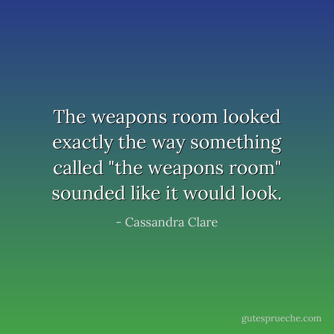 The weapons room looked exactly the way something called "the weapons room" sounded like it would look. - Cassandra Clare