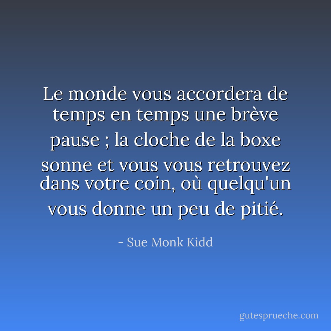 Le monde vous accordera de temps en temps une brève pause ; la cloche de la boxe sonne et vous vous retrouvez dans votre coin, où quelqu'un vous donne un peu de pitié. - Sue Monk Kidd