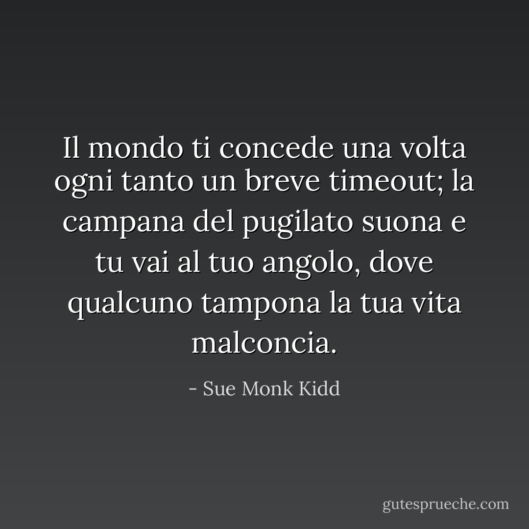Il mondo ti concede una volta ogni tanto un breve timeout; la campana del pugilato suona e tu vai al tuo angolo, dove qualcuno tampona la tua vita malconcia. - Sue Monk Kidd