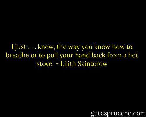 I just . . . knew, the way you know how to breathe or to pull your hand back from a hot stove. - Lilith Saintcrow