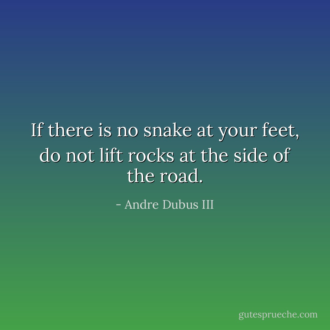 If there is no snake at your feet, do not lift rocks at the side of the road. - Andre Dubus III