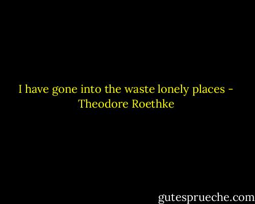 I have gone into the waste lonely places - Theodore Roethke
