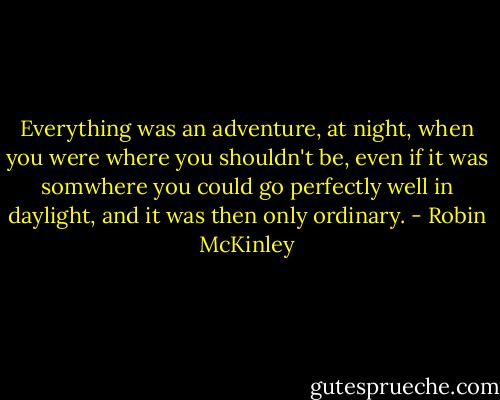 Everything was an adventure, at night, when you were where you shouldn't be, even if it was somwhere you could go perfectly well in daylight, and it was then only ordinary. - Robin McKinley