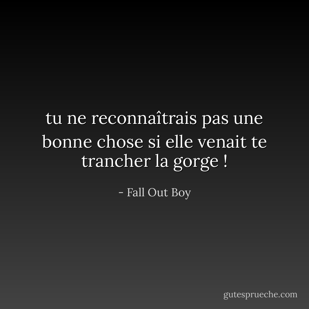 tu ne reconnaîtrais pas une bonne chose si elle venait te trancher la gorge ! - Fall Out Boy