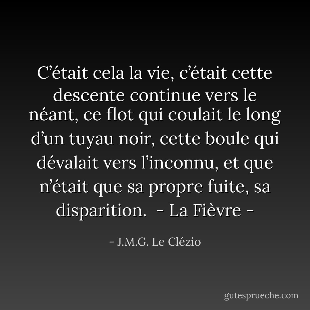 C’était cela la vie, c’était cette descente continue vers le néant, ce flot qui coulait le long d’un tuyau noir, cette boule qui dévalait vers l’inconnu, et que n’était que sa propre fuite, sa disparition.<br /><br />- La Fièvre - - J.M.G. Le Clézio