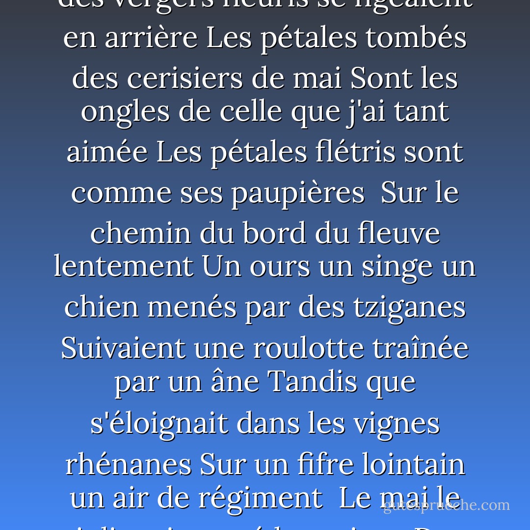 Le mai le joli mai en barque sur le Rhin<br />Des dames regardaient du haut de la montagne<br />Vous êtes si jolies mais la barque s'éloigne<br />Qui donc a fait pleurer les saules riverains<br /><br />Or des vergers fleuris se figeaient en arrière<br />Les pétales tombés des cerisiers de mai<br />Sont les ongles de celle que j'ai tant aimée<br />Les pétales flétris sont comme ses paupières<br /><br />Sur le chemin du bord du fleuve lentement<br />Un ours un singe un chien menés par des tziganes<br />Suivaient une roulotte traînée par un âne<br />Tandis que s'éloignait dans les vignes rhénanes<br />Sur un fifre lointain un air de régiment<br /><br />Le mai le joli mai a paré les ruines<br />De lierre de vigne vierge et de rosiers<br />Le vent du Rhin secoue sur le bord les osiers<br />Et les roseaux jaseurs et les fleurs nues des vignes - Guillaume Apollinaire