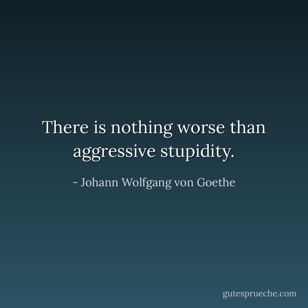 There is nothing worse than aggressive stupidity. - Johann Wolfgang von Goethe