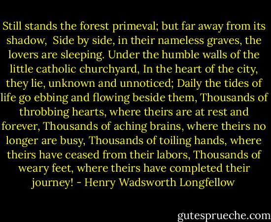 Still stands the forest primeval; but far away from its shadow, <br />Side by side, in their nameless graves, the lovers are sleeping.<br />Under the humble walls of the little catholic churchyard,<br />In the heart of the city, they lie, unknown and unnoticed;<br />Daily the tides of life go ebbing and flowing beside them,<br />Thousands of throbbing hearts, where theirs are at rest and forever,<br />Thousands of aching brains, where theirs no longer are busy,<br />Thousands of toiling hands, where theirs have ceased from their labors,<br />Thousands of weary feet, where theirs have completed their journey! - Henry Wadsworth Longfellow