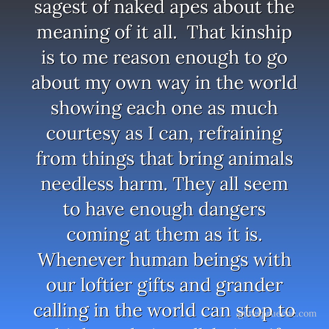I think he overlook a phase: that empathy stage in our lives when we may begin to see even the commonest animals on their own terms, fellow creatures with their own needs to meet and hardships to bear, joined with us in the mystery of life and death--and frankly, for all of our more exalted endowments, not all that much less enlightened than the sagest of naked apes about the meaning of it all.<br /><br />That kinship is to me reason enough to go about my own way in the world showing each one as much courtesy as I can, refraining from things that bring animals needless harm. They all seem to have enough dangers coming at them as it is. Whenever human beings with our loftier gifts and grander calling in the world can stop to think on their well-being, if only by withdrawing to let them be, it need not be a recognition of 'rights.' It is just a gracious thing, an act of clemency only more to our credit because the animals themselves cannot ask for it, or rebuke us when we transgress against them, or even repay our kindness. - Matthew Scully