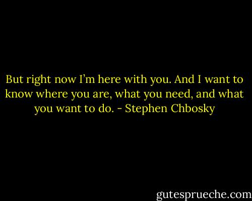 But right now I’m here with you. And I want to know where you are, what you need, and what you want to do. - Stephen Chbosky