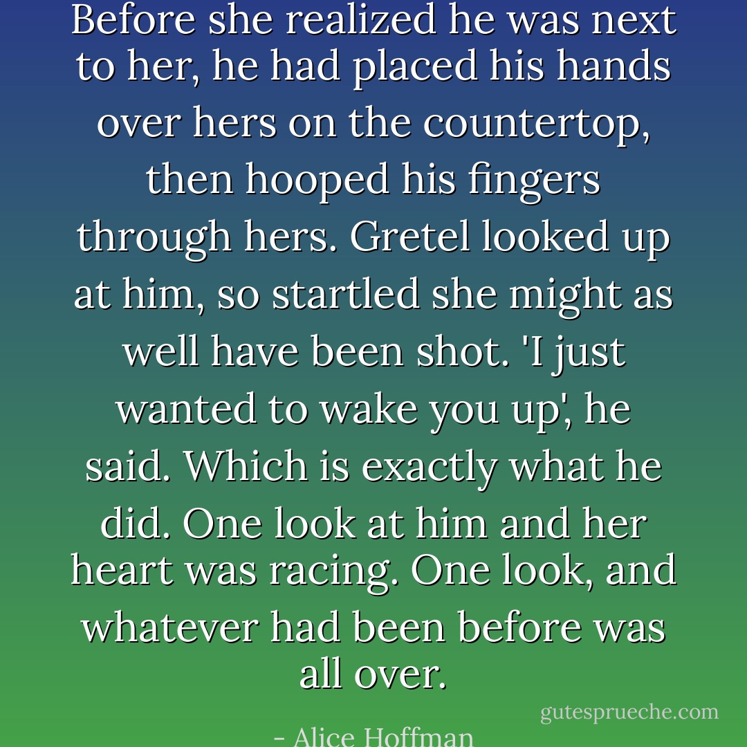 Before she realized he was next to her, he had placed his hands over hers on the countertop, then hooped his fingers through hers. Gretel looked up at him, so startled she might as well have been shot.<br />'I just wanted to wake you up', he said.<br />Which is exactly what he did. One look at him and her heart was racing. One look, and whatever had been before was all over. - Alice Hoffman