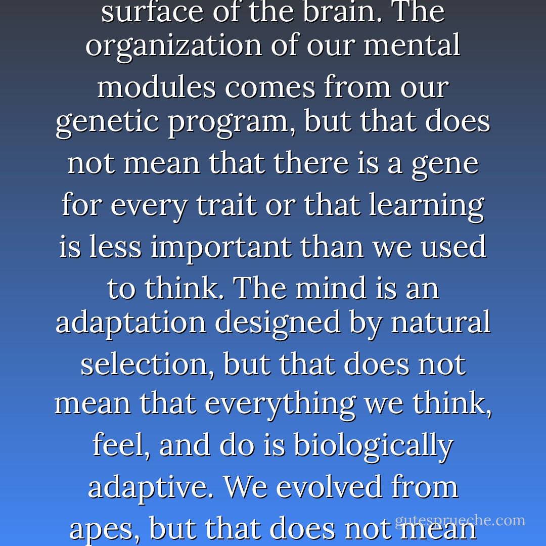 Thinking is computation, I claim, but that does not mean that the computer is a good metaphor for the mind. The mind is a set of modules, but the modules are not encapsulated boxes or circumscribed swatches on the surface of the brain. The organization of our mental modules comes from our genetic program, but that does not mean that there is a gene for every trait or that learning is less important than we used to think. The mind is an adaptation designed by natural selection, but that does not mean that everything we think, feel, and do is biologically adaptive. We evolved from apes, but that does not mean we have the same minds as apes. And the ultimate goal of natural selection is to propagate genes, but that does not mean that the ultimate goal of people is to propagate genes. - Steven Pinker