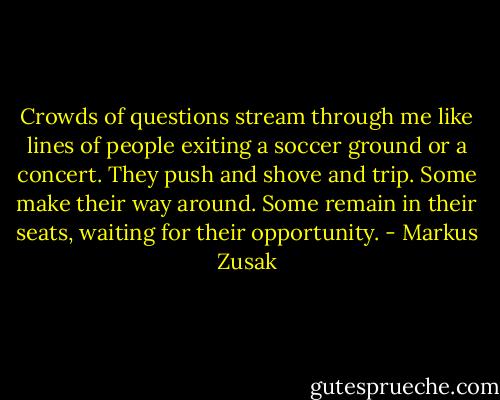 Crowds of questions stream through me like lines of people exiting a soccer ground or a concert. They push and shove and trip. Some make their way around. Some remain in their seats, waiting for their opportunity. - Markus Zusak