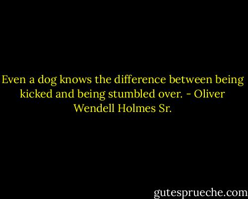 Even a dog knows the difference between being kicked and being stumbled over. - Oliver Wendell Holmes Sr.