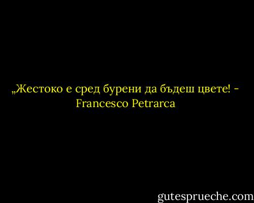 „Жестоко е сред бурени да бъдеш цвете! - Francesco Petrarca