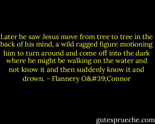 Later he saw Jesus move from tree to tree in the back of his mind, a wild ragged figure motioning him to turn around and come off into the dark where he might be walking on the water and not know it and then suddenly know it and drown. - Flannery O'Connor
