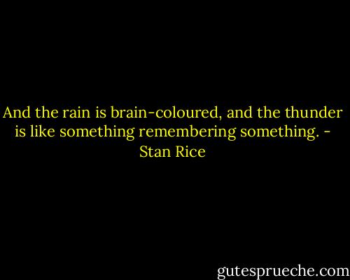 And the rain is brain-coloured, and the thunder is like something remembering something. - Stan Rice