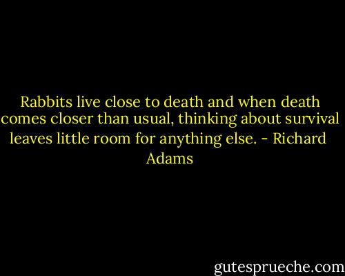 Rabbits live close to death and when death comes closer than usual, thinking about survival leaves little room for anything else. - Richard  Adams
