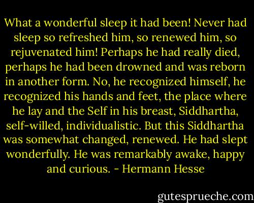 What a wonderful sleep it had been! Never had sleep so refreshed him, so renewed him, so rejuvenated him! Perhaps he had really died, perhaps he had been drowned and was reborn in another form. No, he recognized himself, he recognized his hands and feet, the place where he lay and the Self in his breast, Siddhartha, self-willed, individualistic. But this Siddhartha was somewhat changed, renewed. He had slept wonderfully. He was remarkably awake, happy and curious. - Hermann Hesse