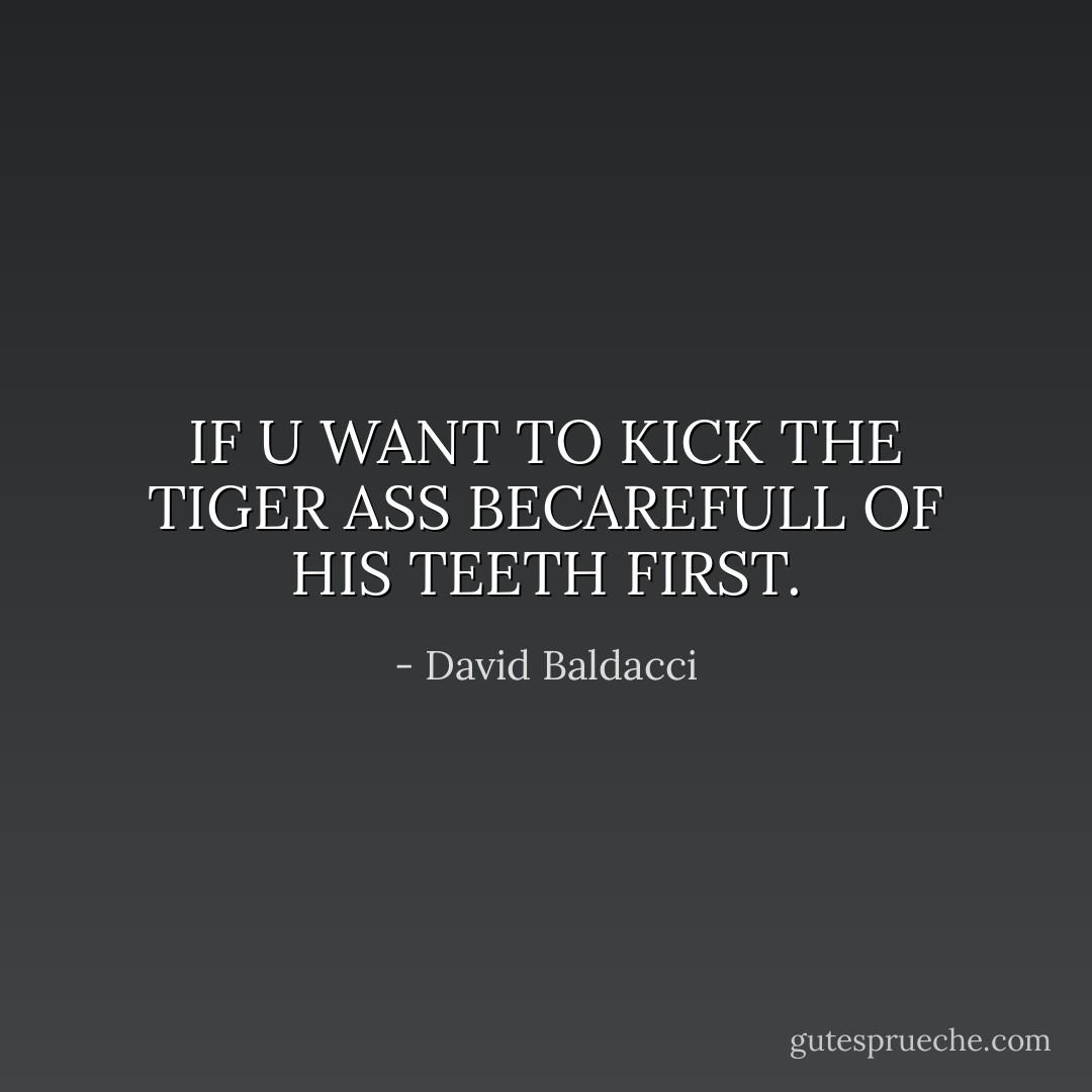 IF U WANT TO KICK THE TIGER ASS BECAREFULL OF HIS TEETH FIRST. - David Baldacci