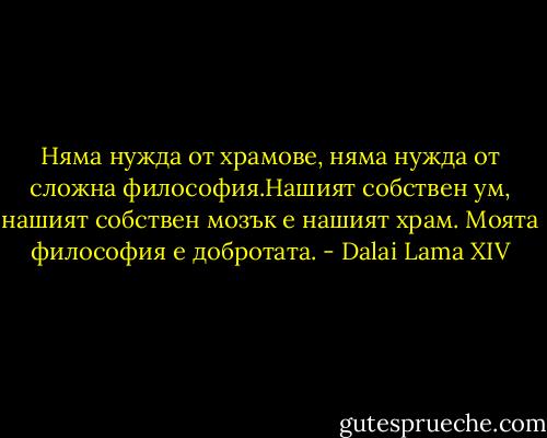Няма нужда от храмове, няма нужда от сложна философия.Нашият собствен ум, нашият собствен мозък е нашият храм. Моята философия е добротата. - Dalai Lama XIV