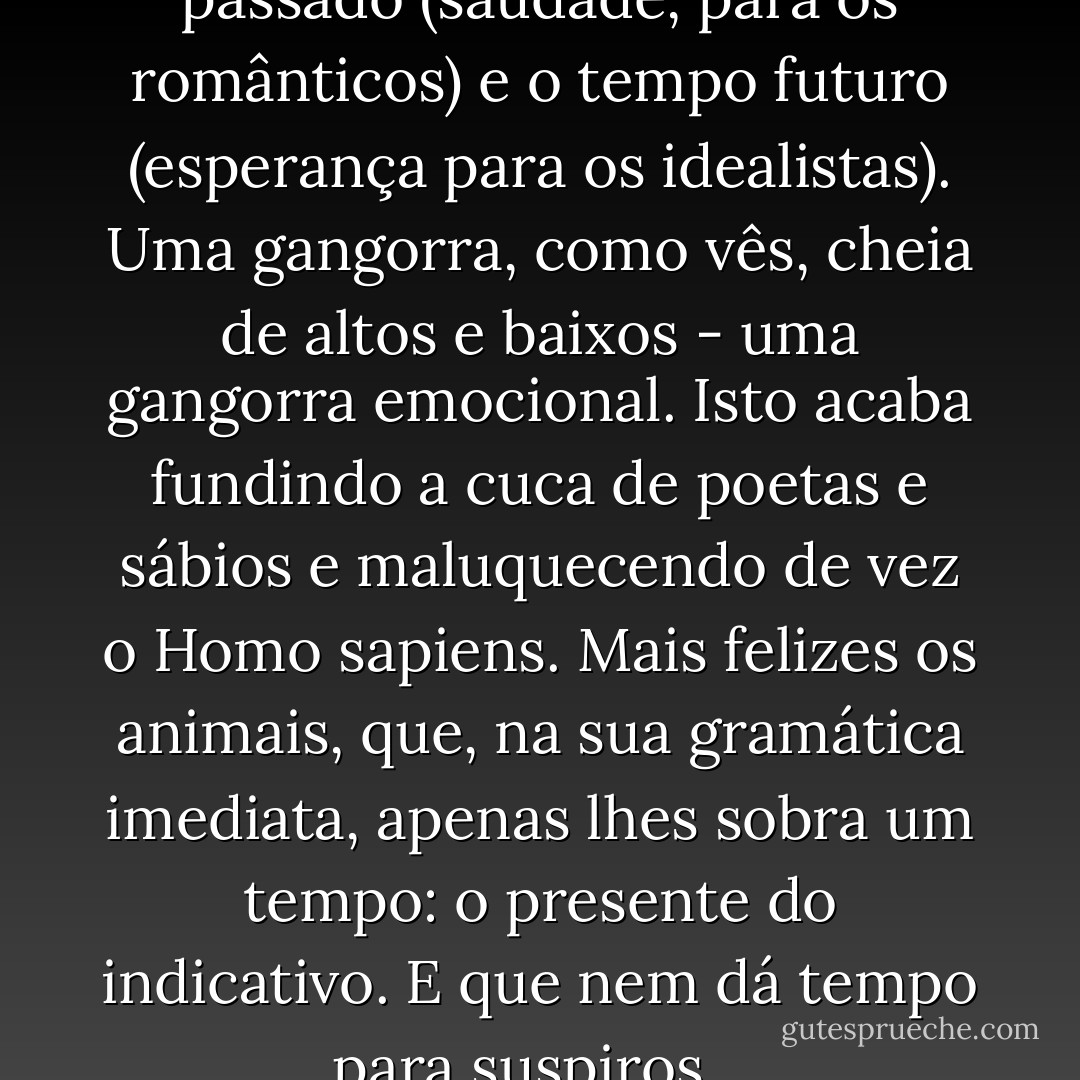 Vivemos conjugando o tempo passado (saudade, para os românticos) e o tempo futuro (esperança para os idealistas). Uma gangorra, como vês, cheia de altos e baixos - uma gangorra emocional. Isto acaba fundindo a cuca de poetas e sábios e maluquecendo de vez o Homo sapiens. Mais felizes os animais, que, na sua gramática imediata, apenas lhes sobra um tempo: o presente do indicativo. E que nem dá tempo para suspiros... - Mario Quintana