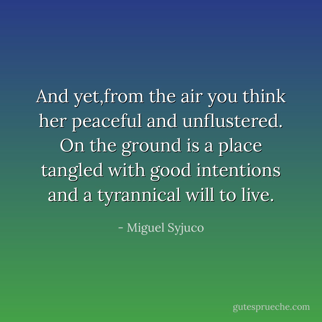 And yet,from the air you think her peaceful and unflustered. On the ground is a place tangled with good intentions and a tyrannical will to live. - Miguel Syjuco