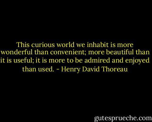 This curious world we inhabit is more wonderful than convenient; more beautiful than it is useful; it is more to be admired and enjoyed than used. - Henry David Thoreau