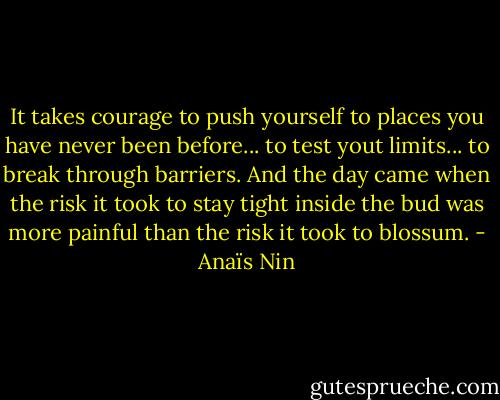 It takes courage to push yourself to places you have never been before... to test yout limits... to break through barriers. And the day came when the risk it took to stay tight inside the bud was more painful than the risk it took to blossum. - Anaïs Nin