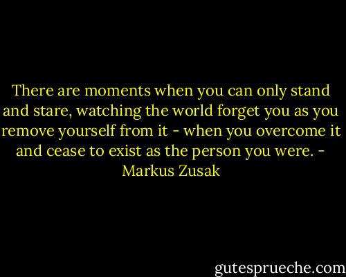 There are moments when you can only stand and stare, watching the world forget you as you remove yourself from it - when you overcome it and cease to exist as the person you were. - Markus Zusak